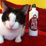 STLPR Logo Water Bottle